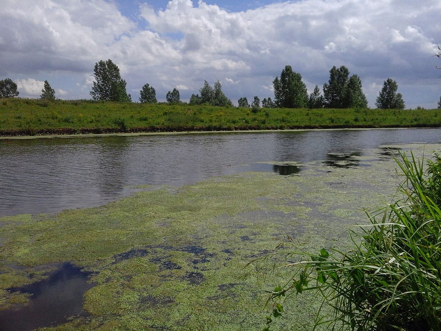 Dave Coster's Fishing Diary - July