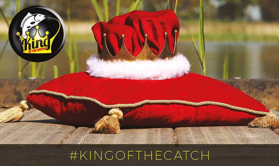 KING OF THE CATCH 2017 - WINNERS!