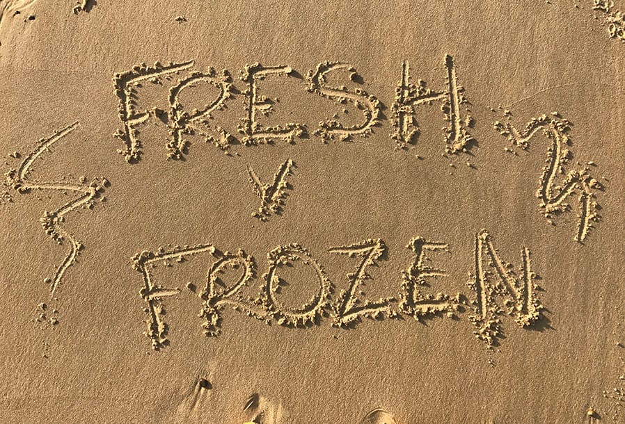 Beach Fishing Bait Challenge - Fresh Worm v Frozen Worm!