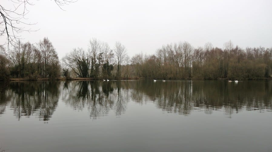 Dave Coster - January Fishing Diary