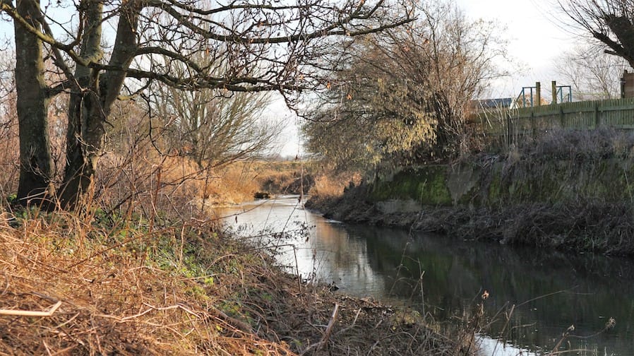 Dave Coster's Fishing Diary - February