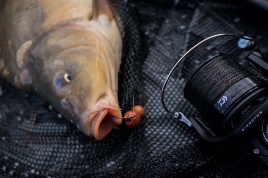 Thursday Focus - Daiwa Reels