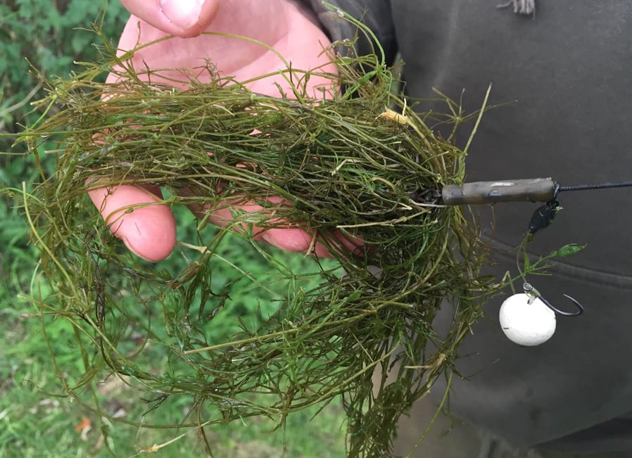 Monday Top 5 - Fishing Weedy Lakes