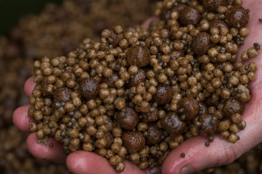 Wednesday Review - Nash Riser Pellet