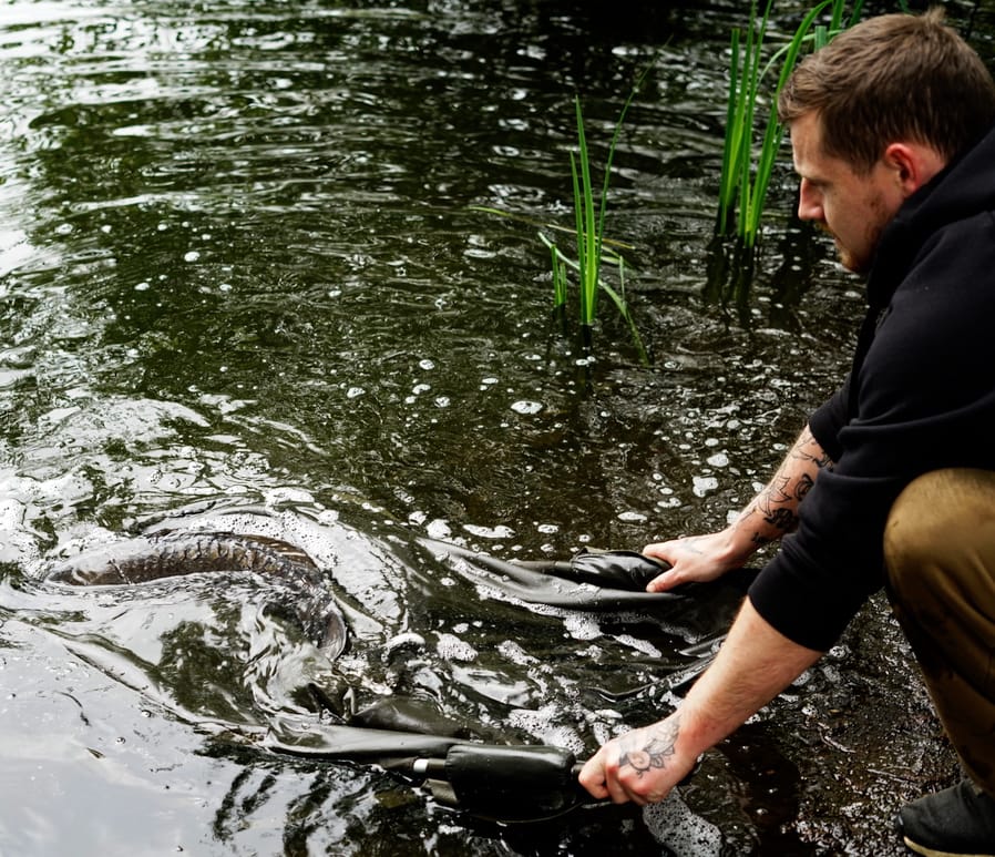 Thursday Focus - Fish Care