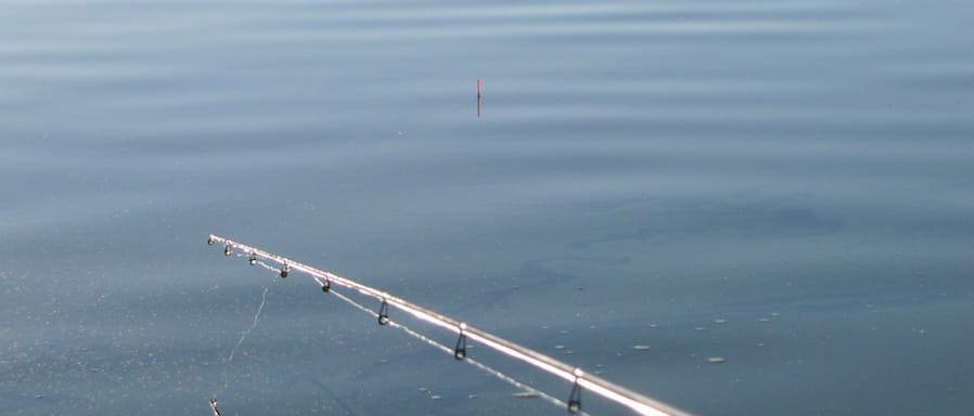  width=