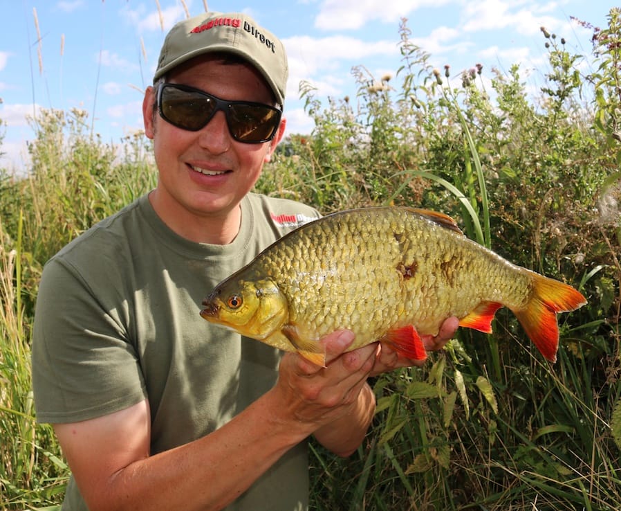 Phil Spinks - August Rudd & Barbel