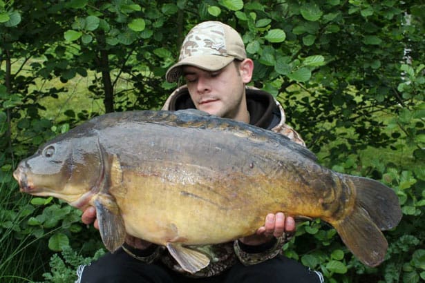 24lb