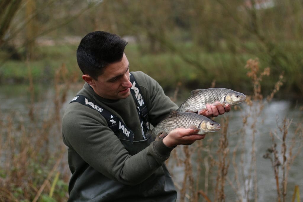 Coarse fishing river close season – Public consultation