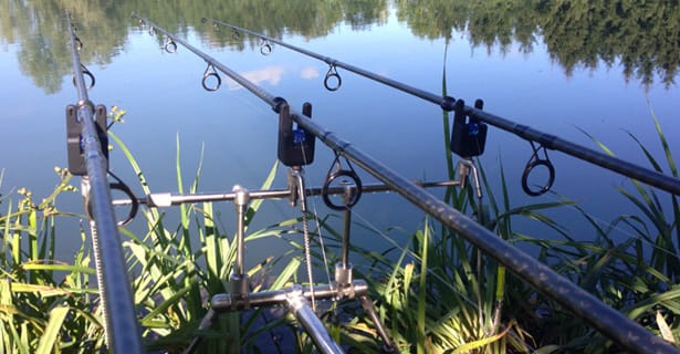 French Carping.. Robin Carver