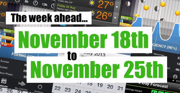 The Week Ahead...