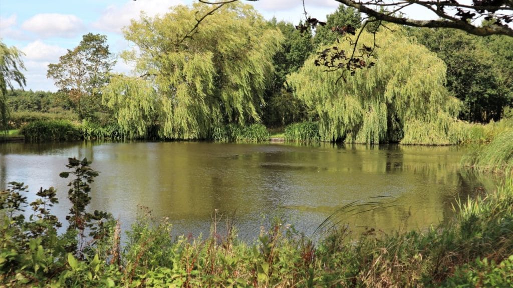 Dave Coster's Fishing Diary- September
