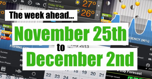 The Week Ahead...
