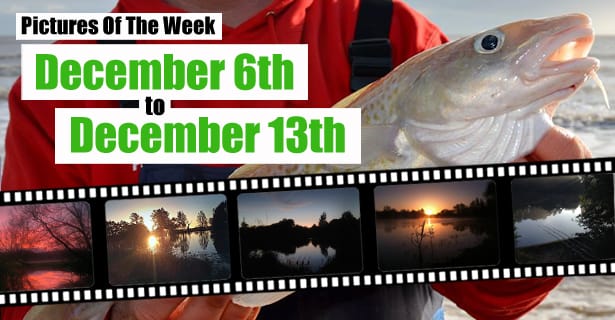 Angling Direct Pictures Of The Week!