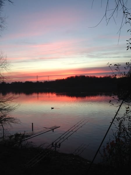 Blog-7