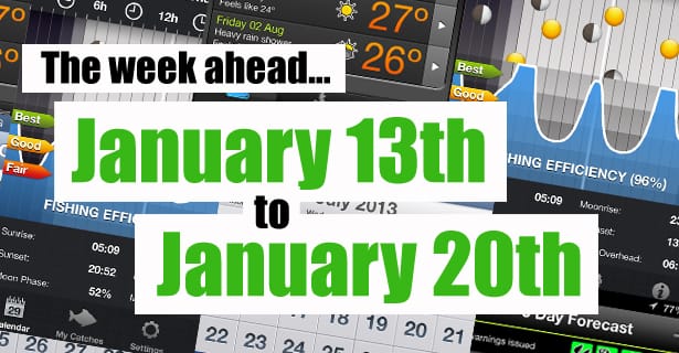 The Week Ahead…