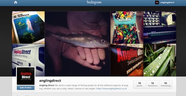 Follow Us On Instagram!