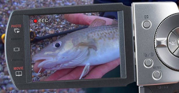 Sea Fishing For Cod From The Shore – Part Three