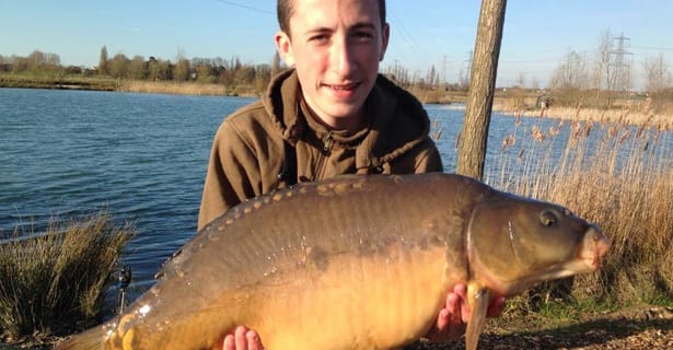 Bayeswater Beauty For Callum Petchey