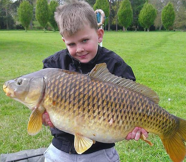 Kane-Offland-Young-Carper-2