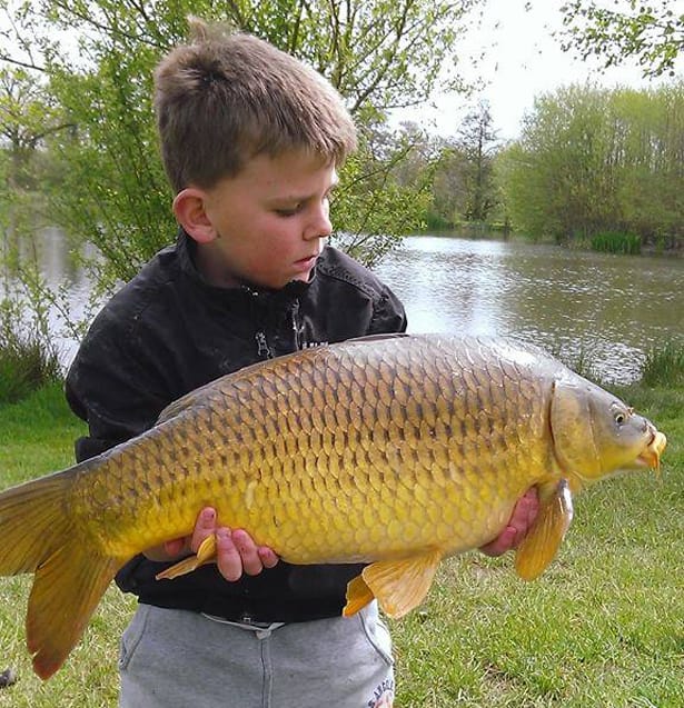 Kane-Offland-Young-Carper-3