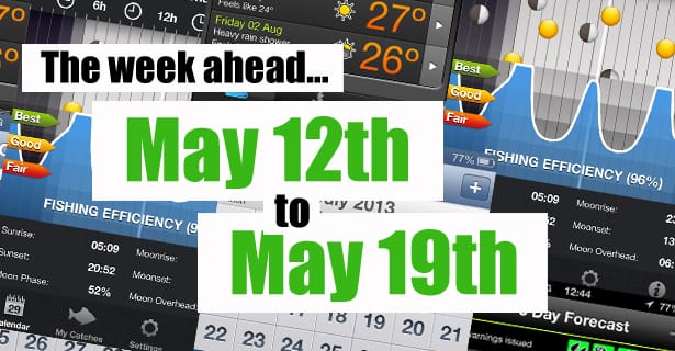 The Week Ahead...