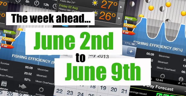 The Week Ahead...
