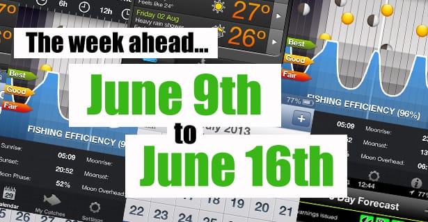 The Week Ahead...