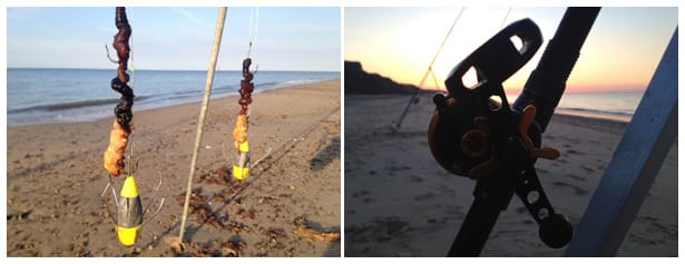 Smooth Hound Fishing II