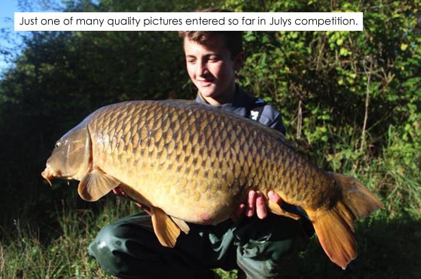 Julys-Picture-Of-The-Month-Comp