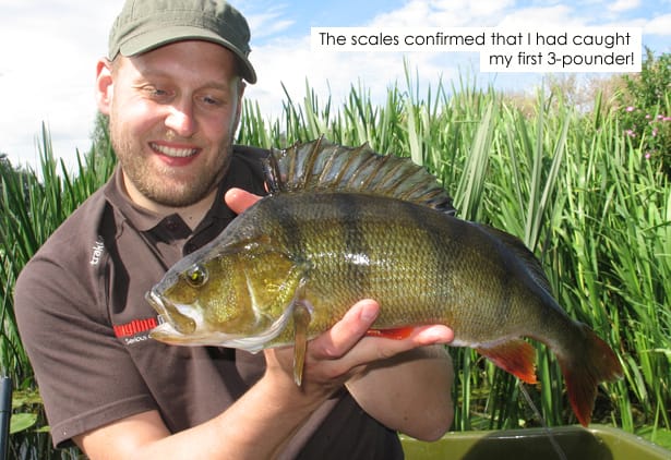 Perch-Fishing-3