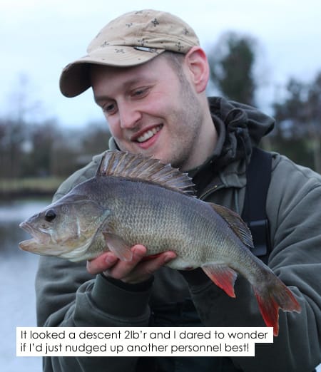 Perch-Fishing-6