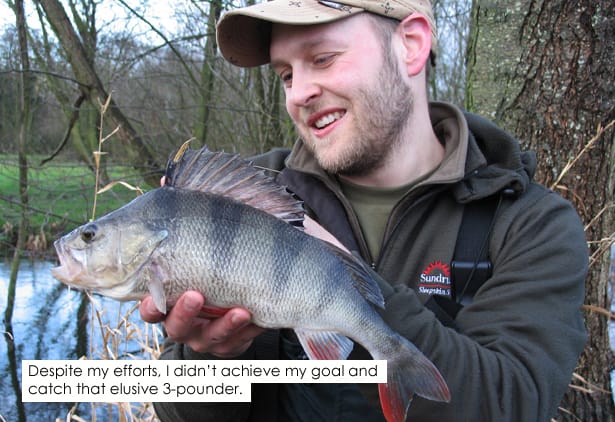Perch-Fishing-7