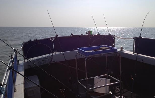 Boat Fishing For Smooth Hound 4