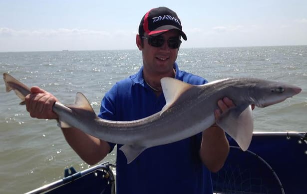 Boat Fishing For Smooth Hound 5