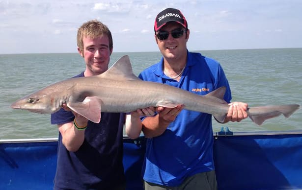 Boat Fishing For Smooth Hound 7