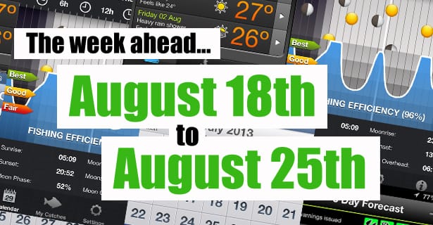 The Week Ahead...