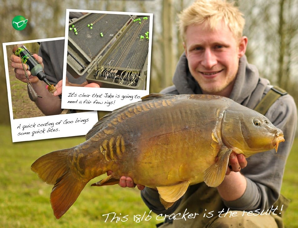 Korda COG System 5