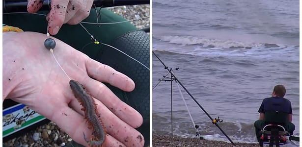 Beach Fishing For Flatfish - Sole 2