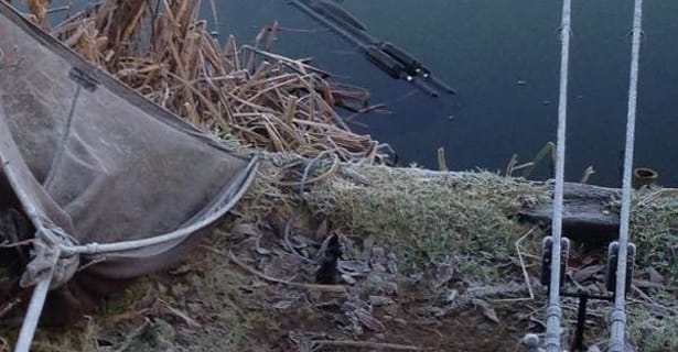 Cold Water Carping - Scott Kingsley