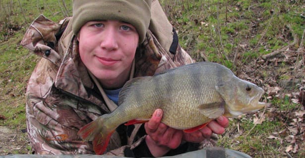 Perch Fishing: Tackle & Tactics - James Champkin