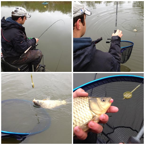 Banjo-Feeder-6