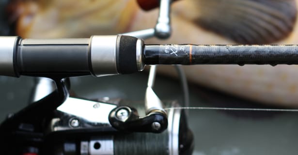 Tackle Tuesday… Free Spirit CTX Carp Rod Review