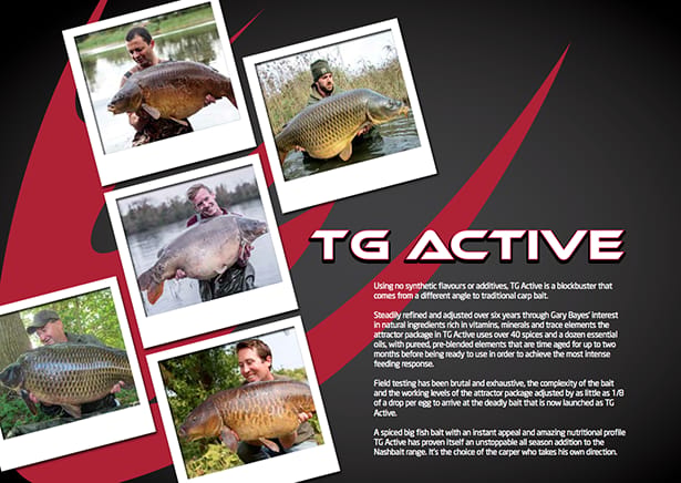 tg_ac_page