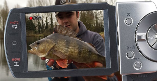 Big Perch Fishing