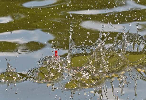 Float-Fishing-For-Tench-3