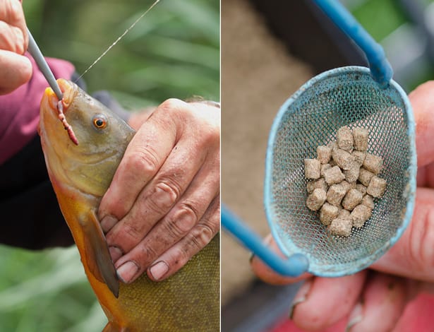 Float-Fishing-For-Tench-9 copy