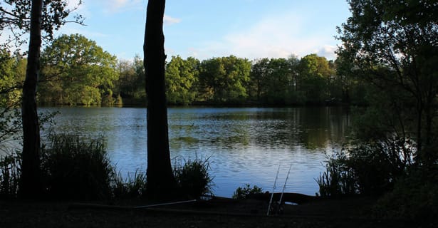 Carp Syndicate Success II – Scott Kingsley