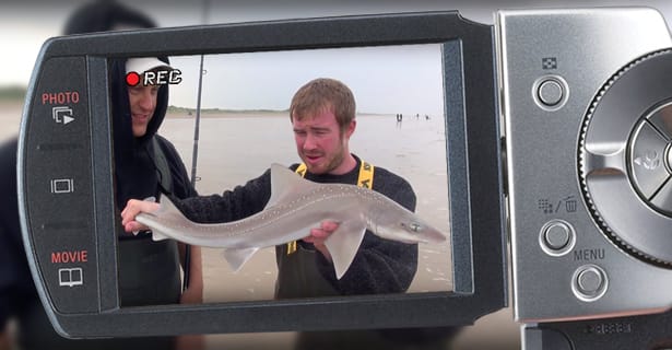 Sea Fishing For Summer Smoothound - Curse Of The Camera!