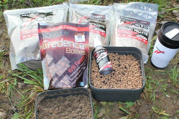 River Wye Barbel - 4